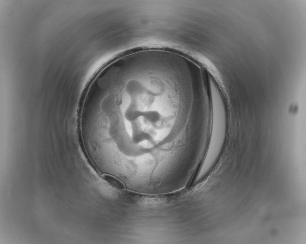 X0000091641183200709060931