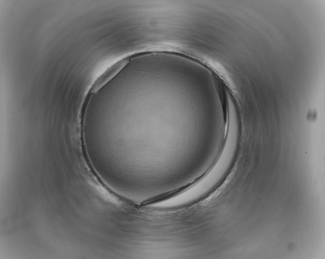 X0000091641184200709060931