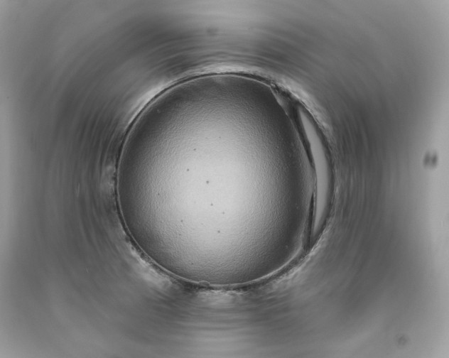 X0000091641185200709060931
