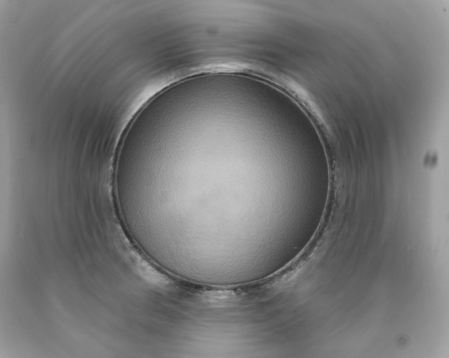 X0000091641186200709060931