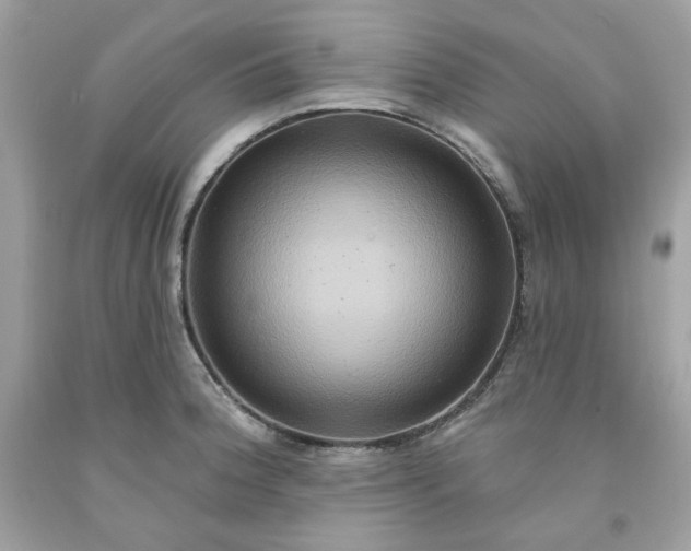 X0000091641188200709060931