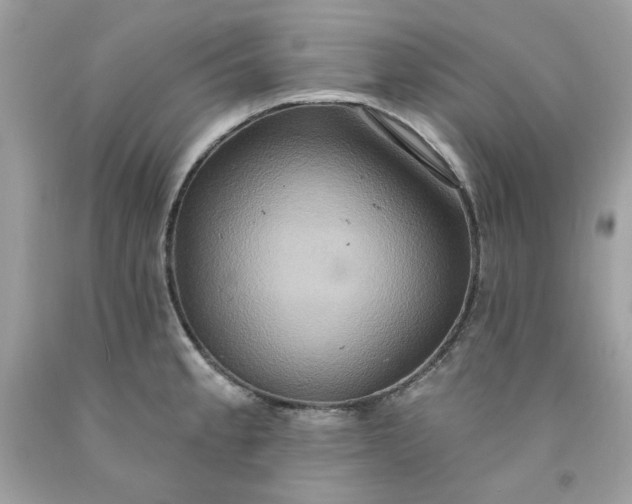 X0000091641189200709060931