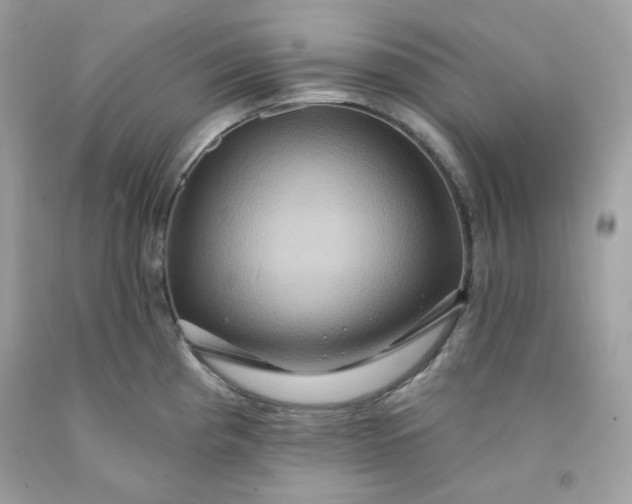 X0000091641193200709060930