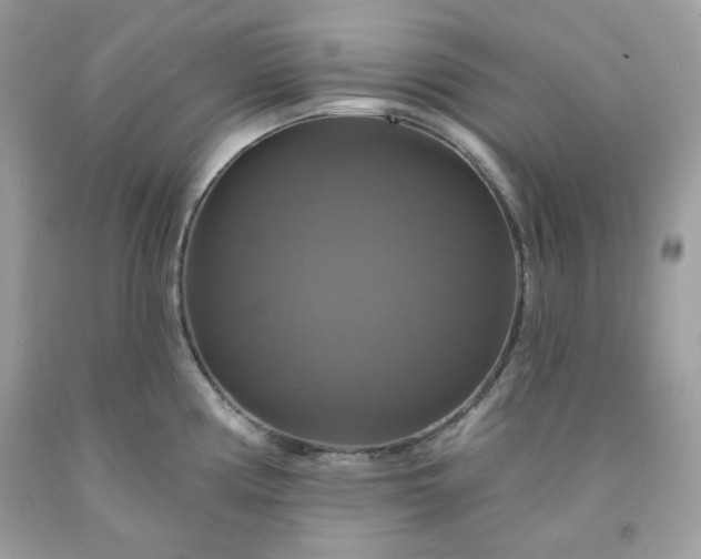 X0000091641194200709060930