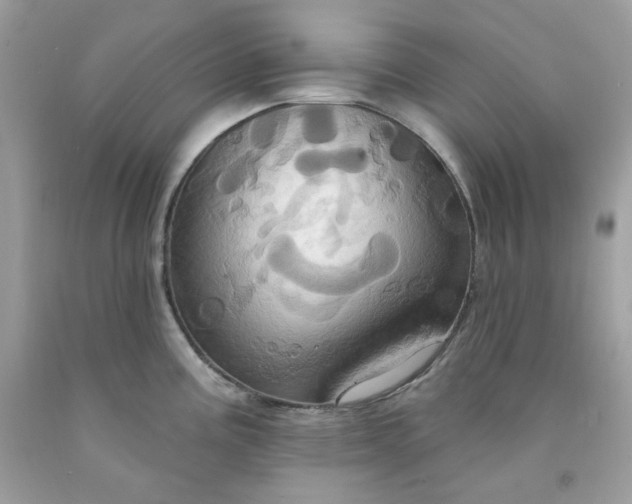 X0000091641195200709060930