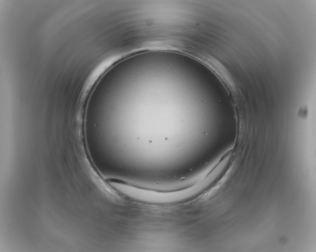 X0000091641196200709060930