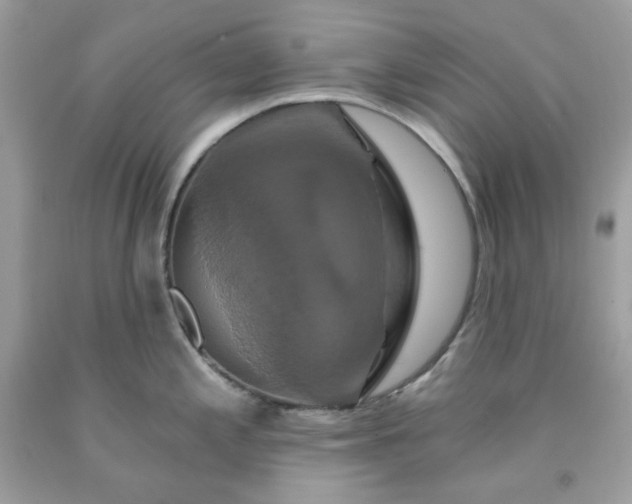 X0000091641197200709060930