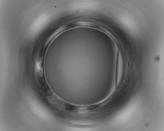 X0000091641198200709060930