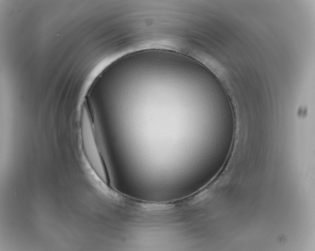 X0000091641200200709060930