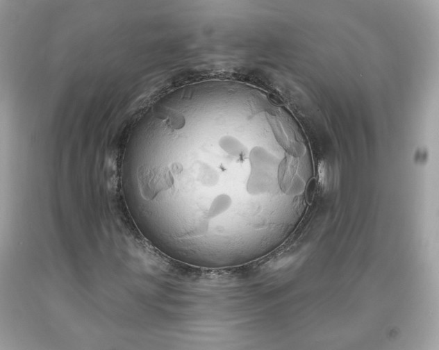 X0000091641203200709060930