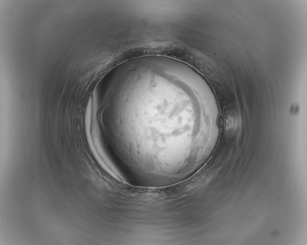 X0000091641204200709060930