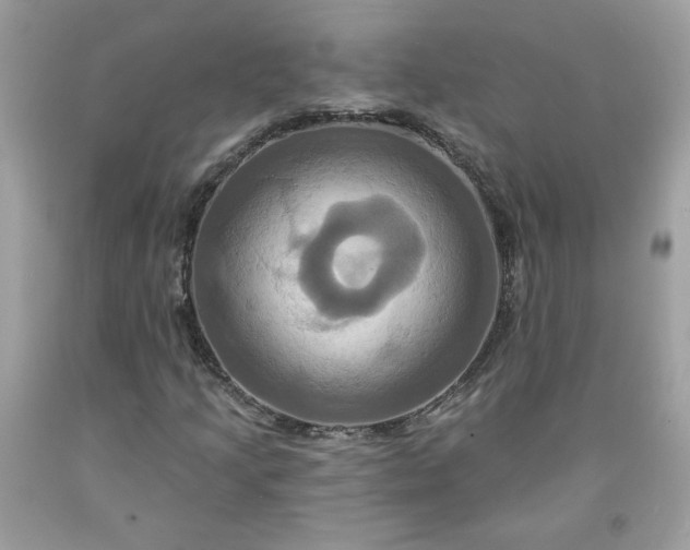 X0000091641205200709060930