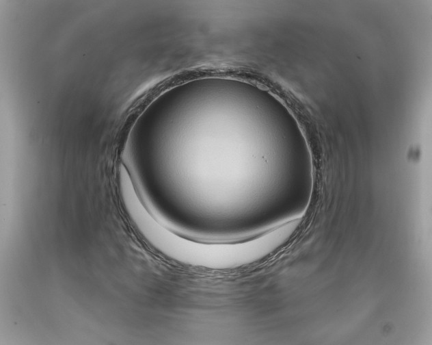 X0000091641206200709060930