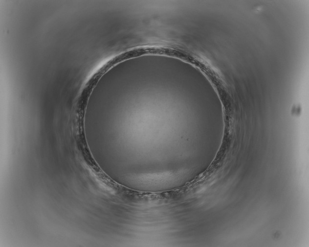 X0000091641208200709060930