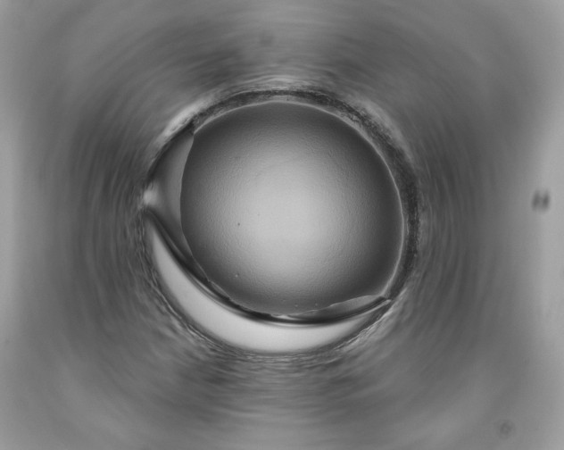X0000091641210200709060930