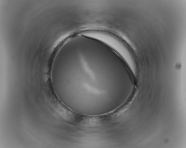X0000091641213200709060930