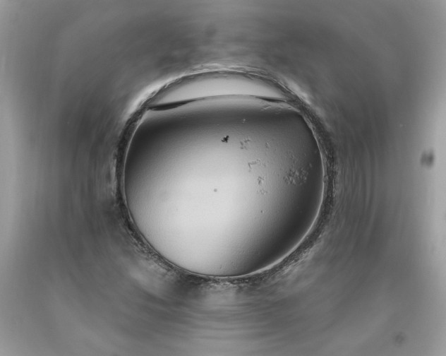 X0000091641214200709060930