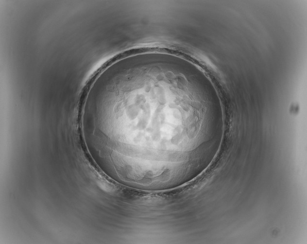 X0000091641216200709060930