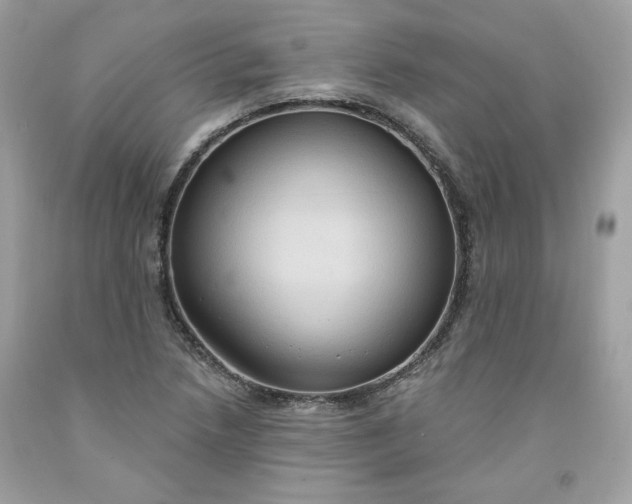 X0000091641218200709060930