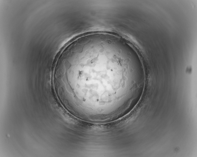 X0000091641220200709060930