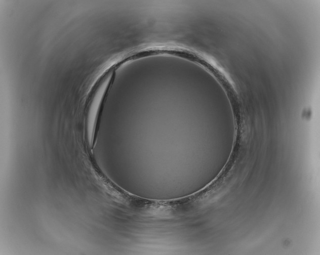 X0000091641221200709060930