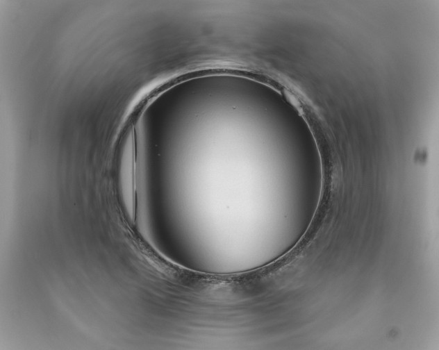 X0000091641222200709060930
