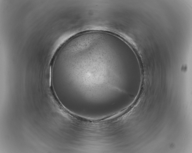 X0000091641223200709060930