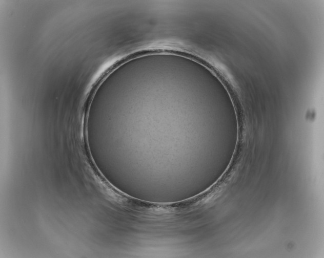 X0000091641224200709060930