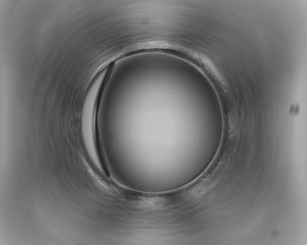 X0000091641225200709060930