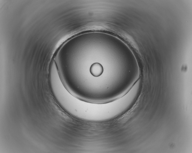 X0000091641226200709060930