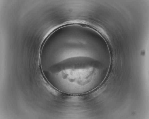X0000091641228200709060930