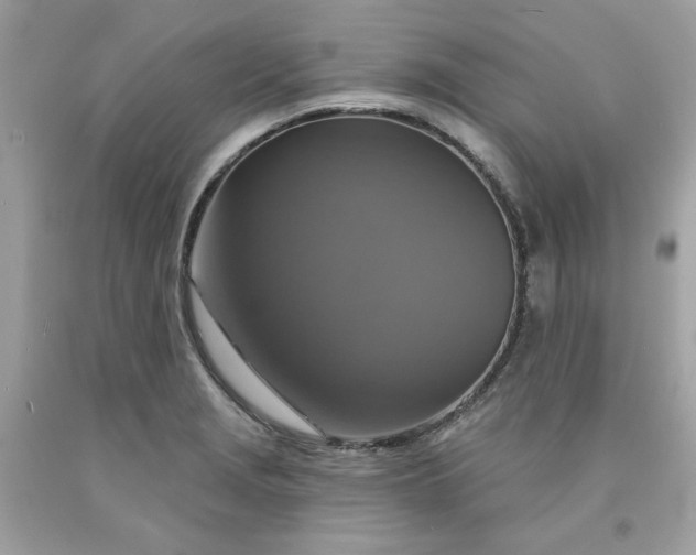 X0000091641229200709060930