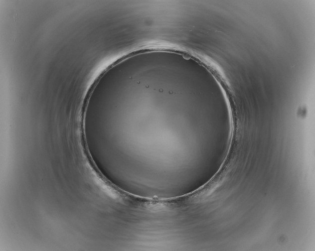 X0000091641231200709060930
