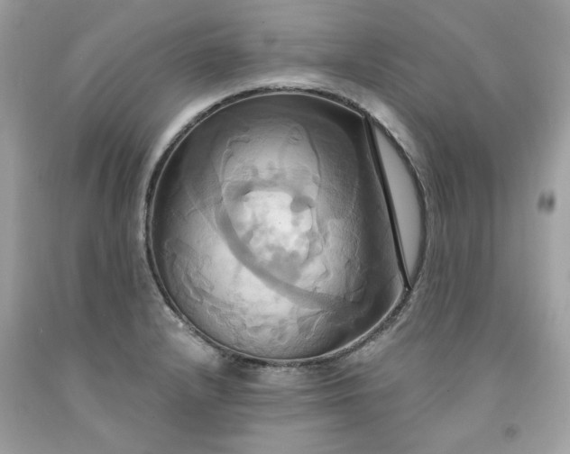 X0000091641232200709060930