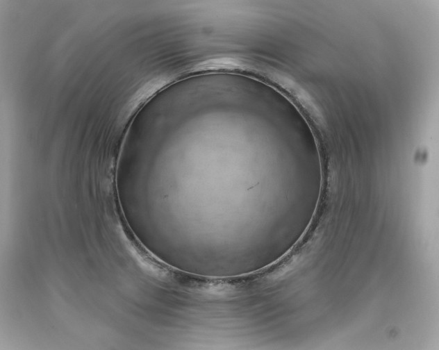 X0000091641233200709060930