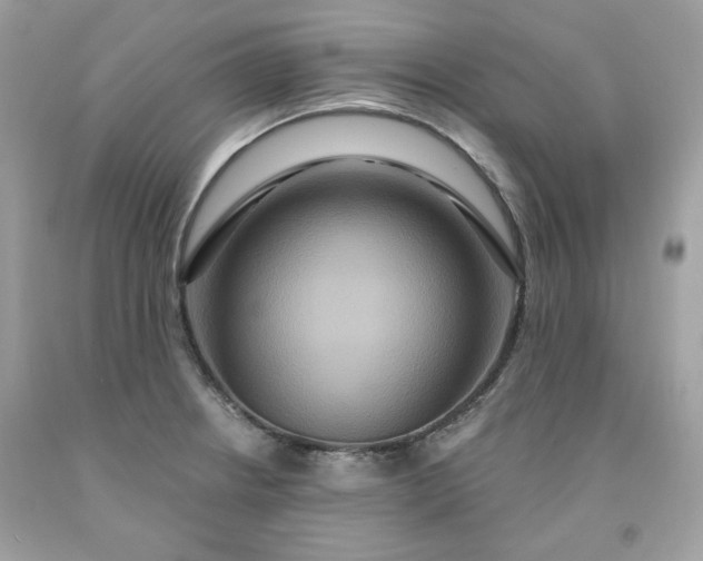 X0000091641234200709060930