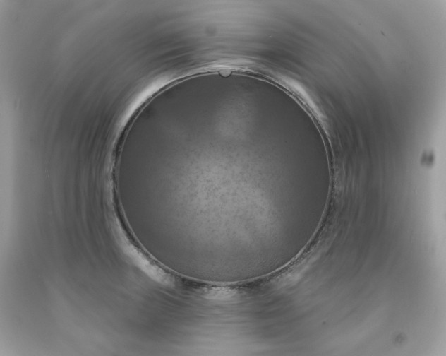 X0000091641235200709060930