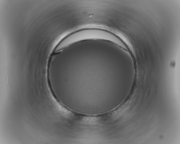 X0000091641237200709060930