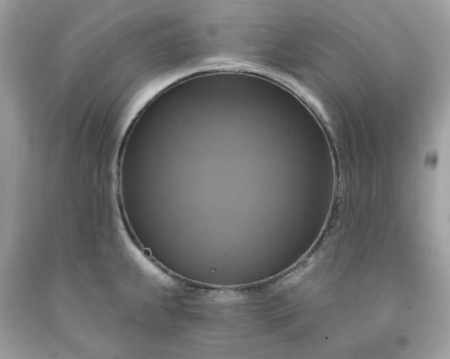 X0000091641239200709060930