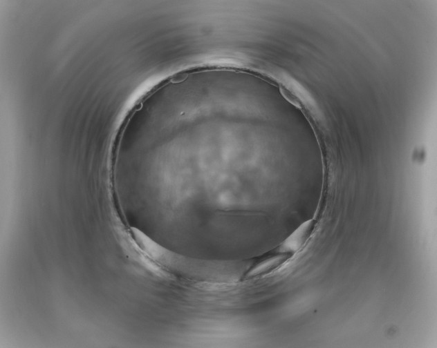 X0000091641240200709060930