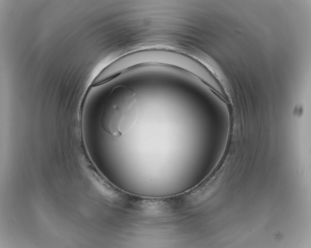 X0000091641242200709060930