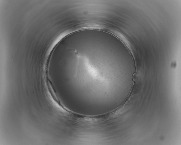 X0000091641243200709060930
