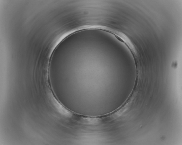 X0000091641244200709060930