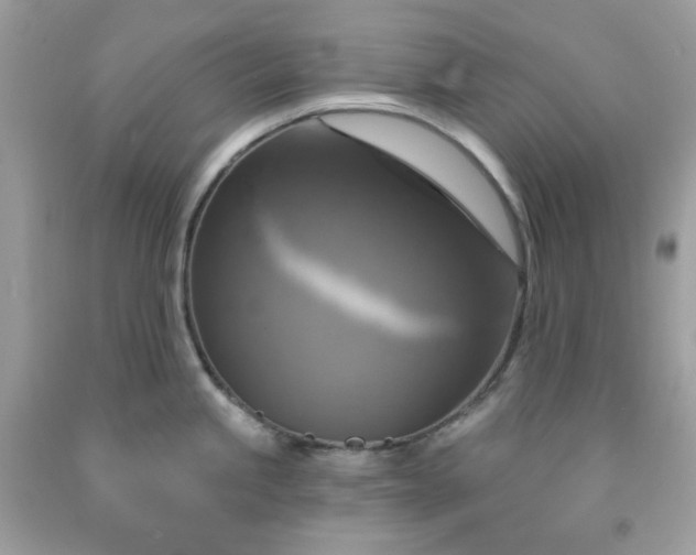 X0000091641245200709060930