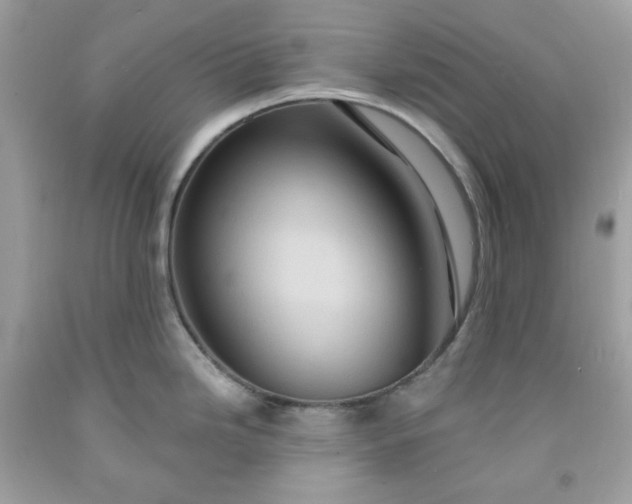 X0000091641246200709060930