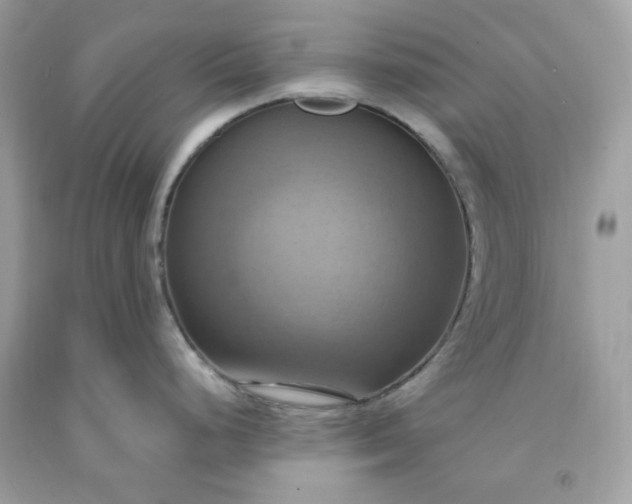 X0000091641248200709060930