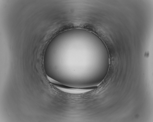 X0000091641249200709060930