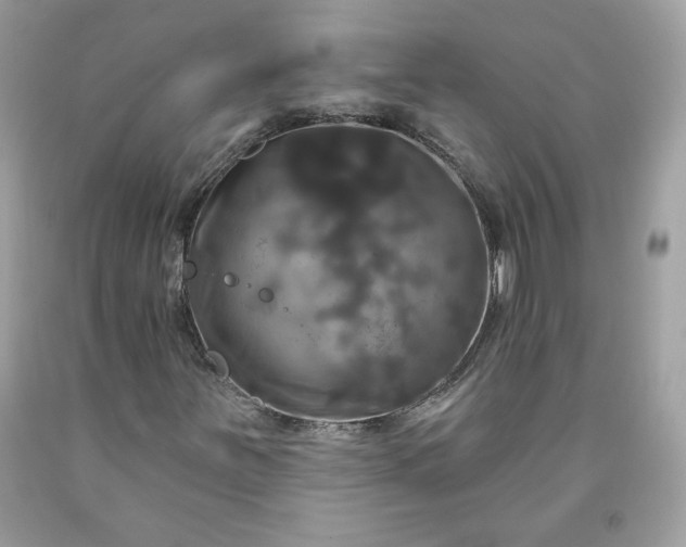 X0000091641251200709060930
