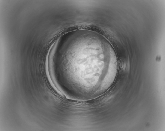 X0000091641252200709060930