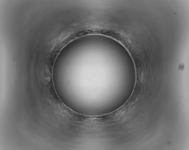 X0000091641253200709060930